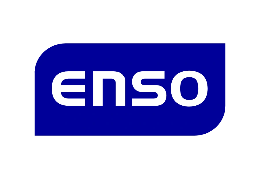 ENSO Energie Sachsen Ost Logo