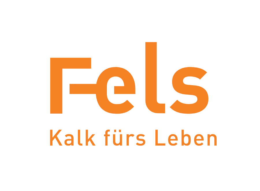 FELS GmbH Logo