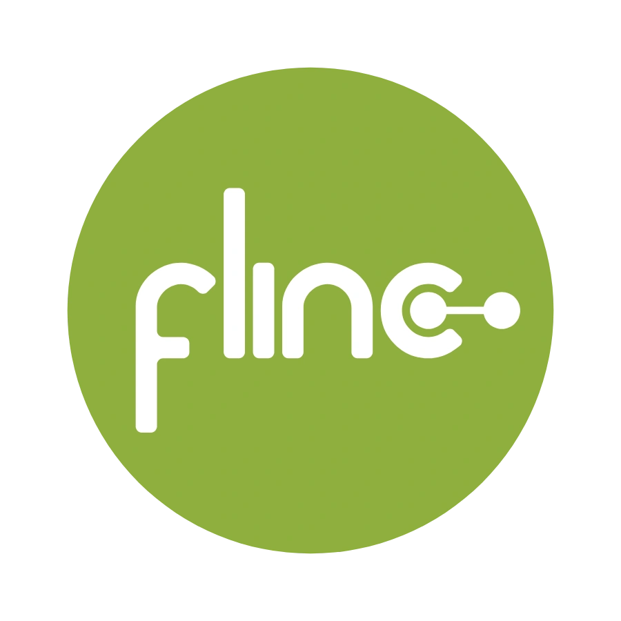 Flinc 2013 Logo