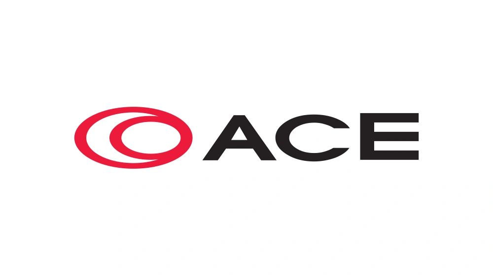 ACE Co., Ltd. Wordmark Logo