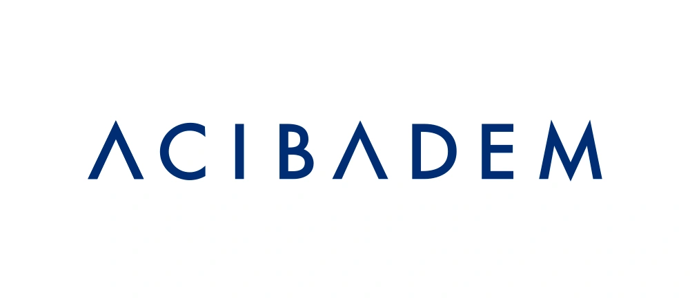 Acibadem Grup Wordmark Logo