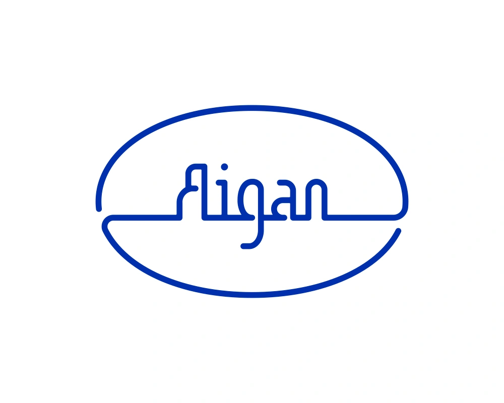 Aigan Wordmark Logo