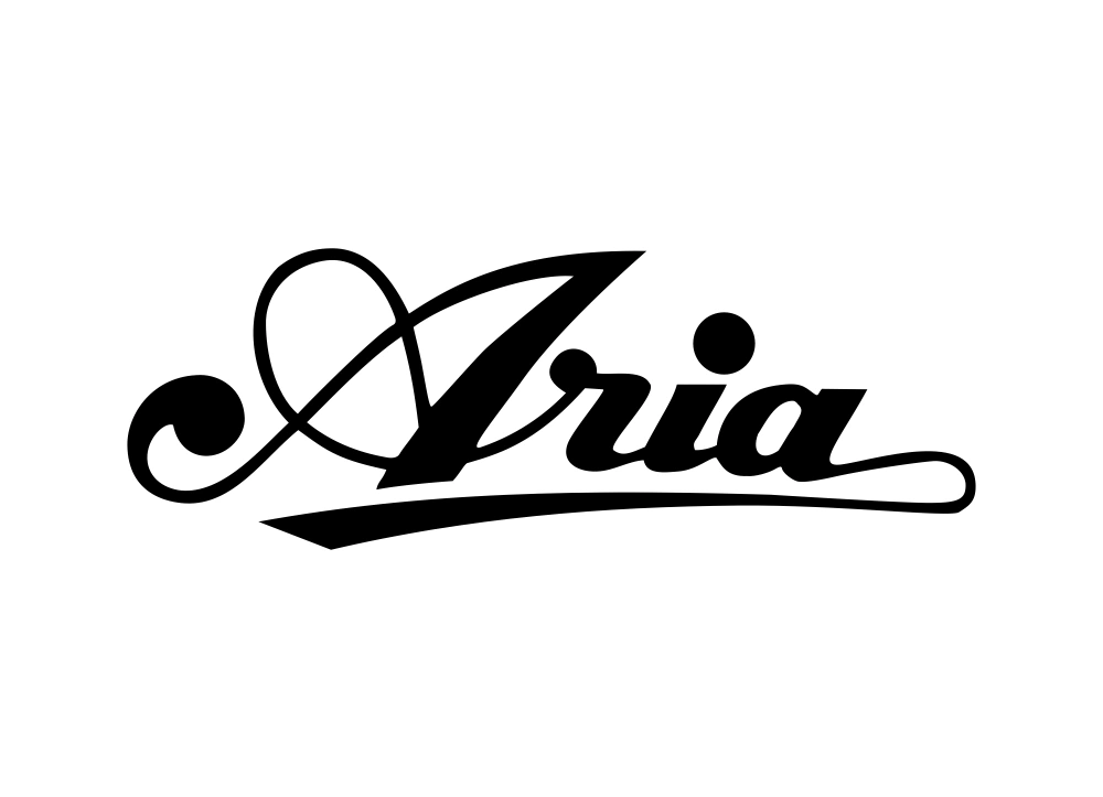 Aria Guitars Wordmark Logo