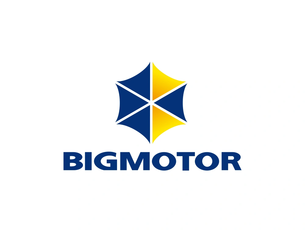 Bigmotor Wordmark Logo