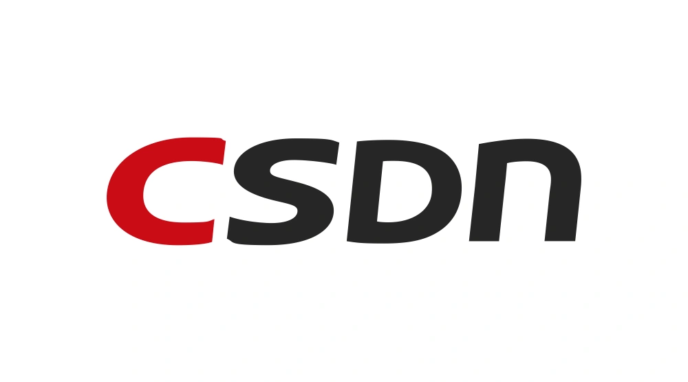 CSDN Wordmark Logo