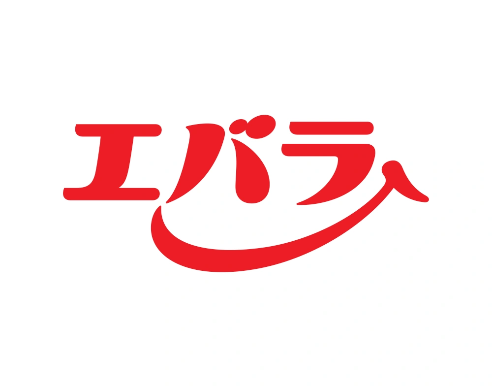Ebara Wordmark Logo