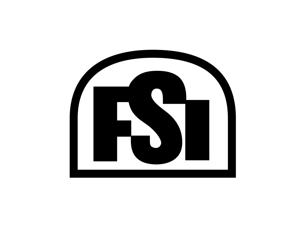 FSI Wordmark Logo
