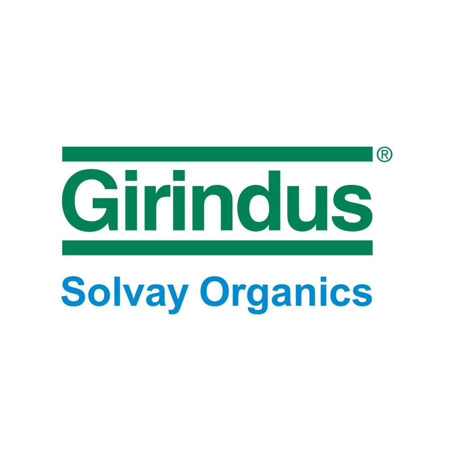 Girindus Wordmark Logo
