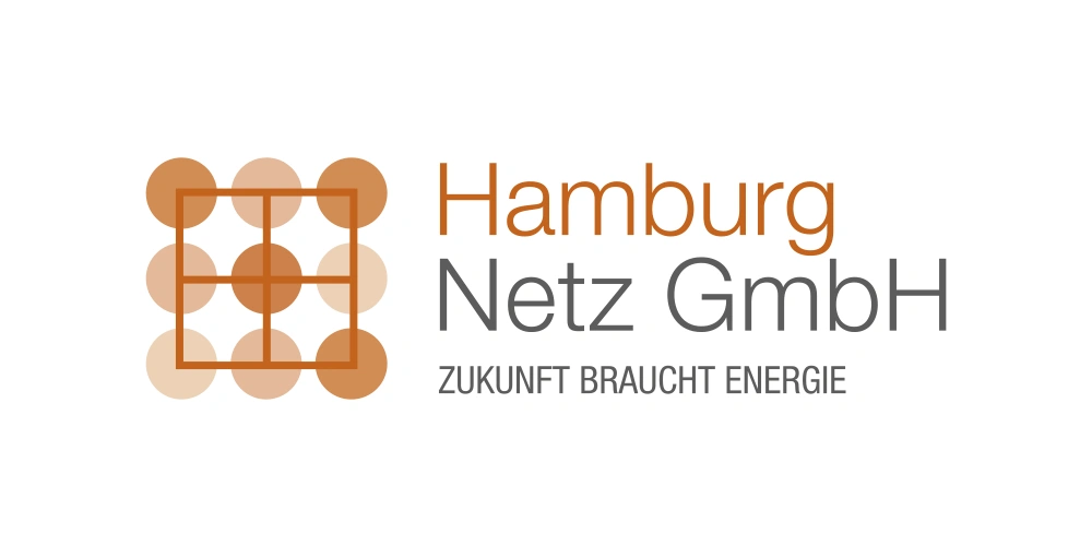 Hamburg Netz Wordmark Logo