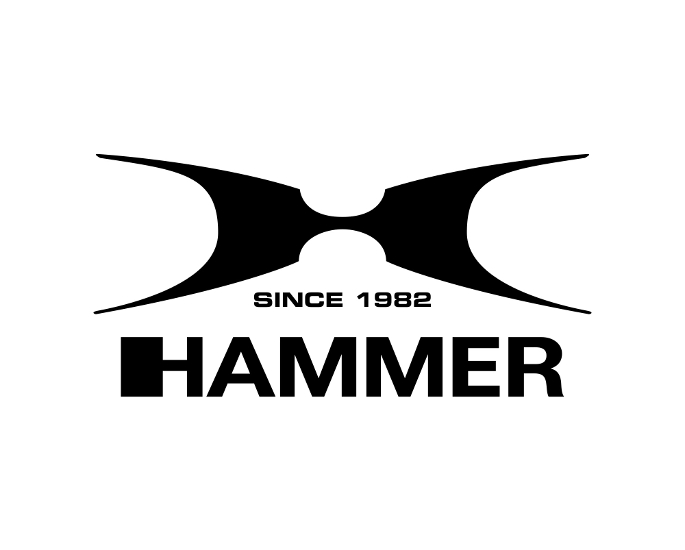 Hammer Boxing Wordmark Logo