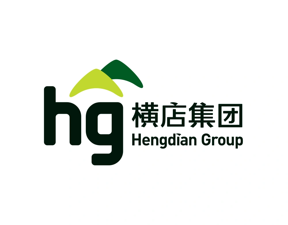 Hengdian Group Wordmark Logo