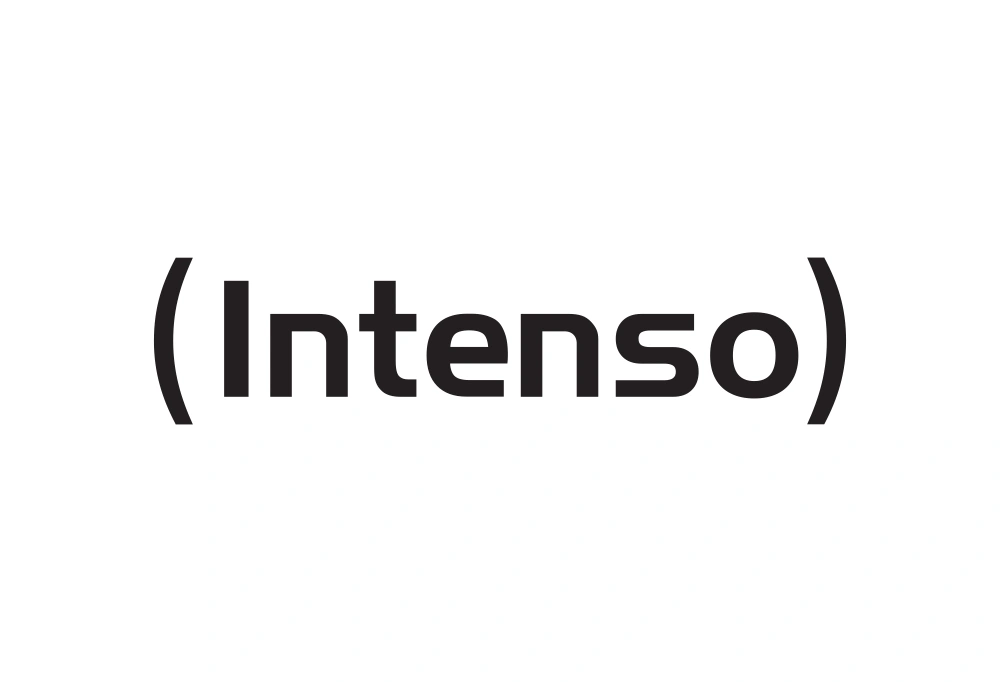 Intenso Wordmark Logo