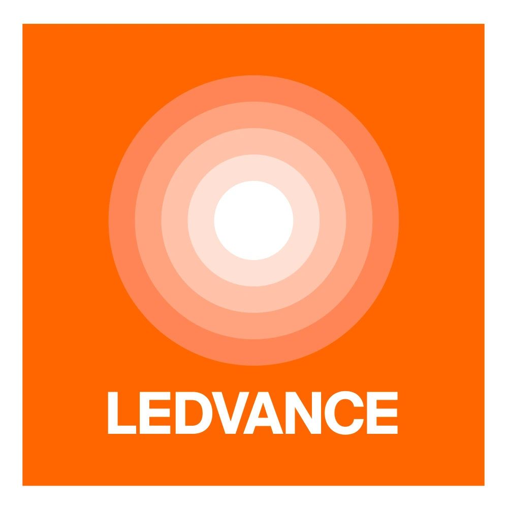 LDV Stacked Logo