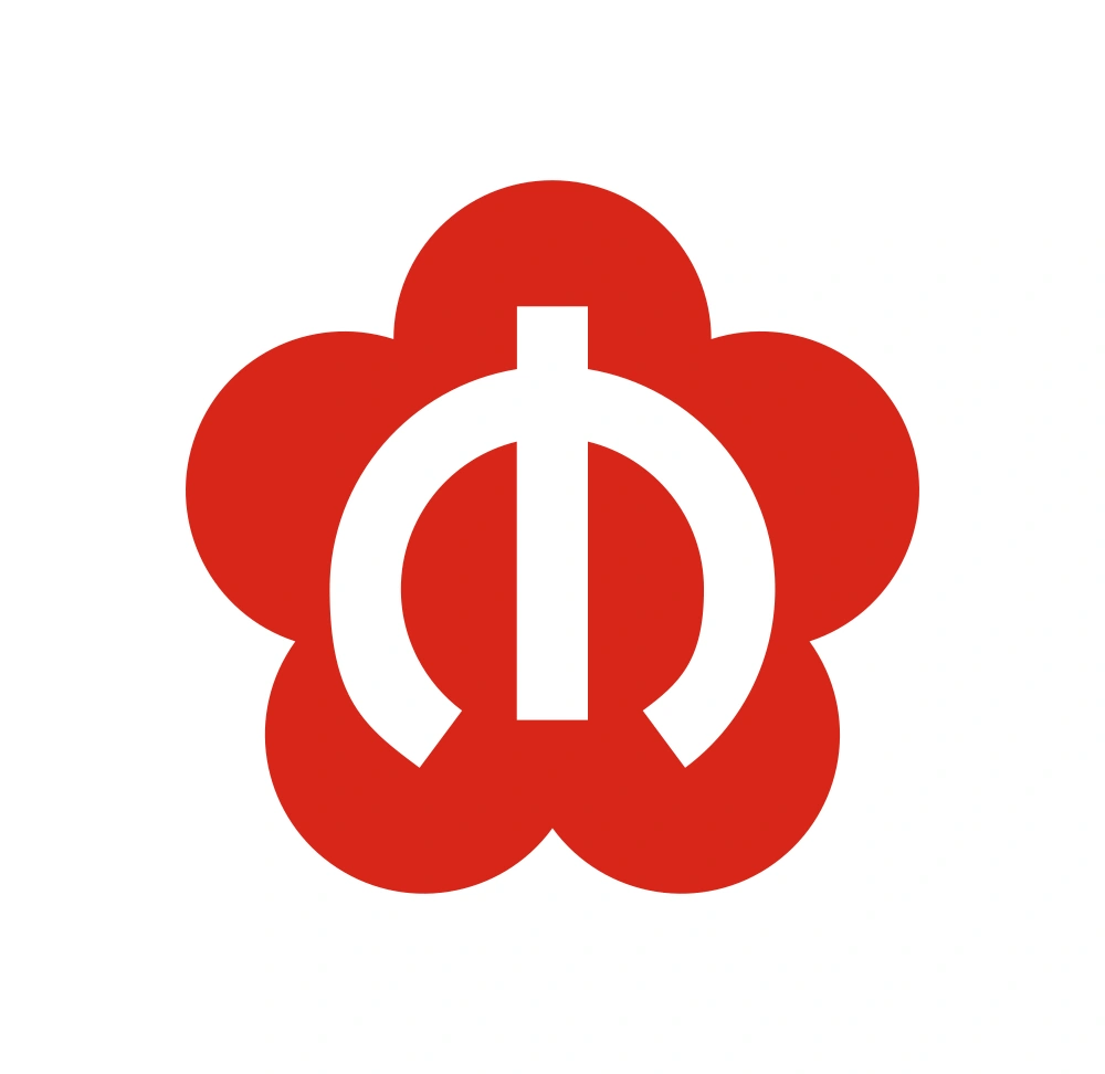 Nanjing Metro Wordmark Logo