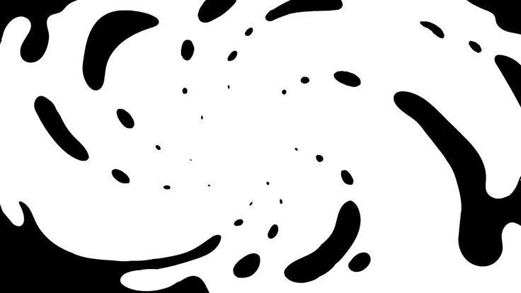 Abstract Black and White Fluid Shapes Artistic Design