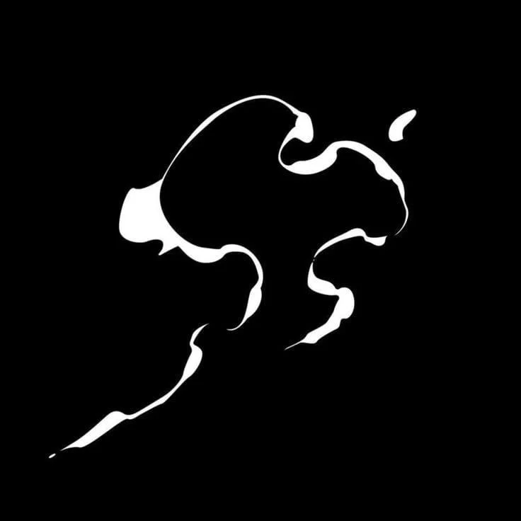 Abstract Black White Fluid Shape