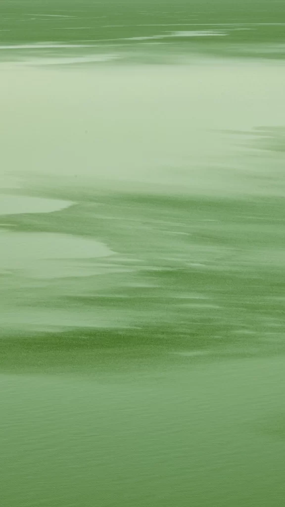 Abstract Green Texture