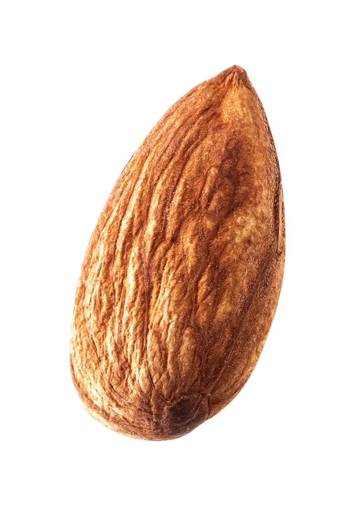 Almond Nut Brown Texture Isolated