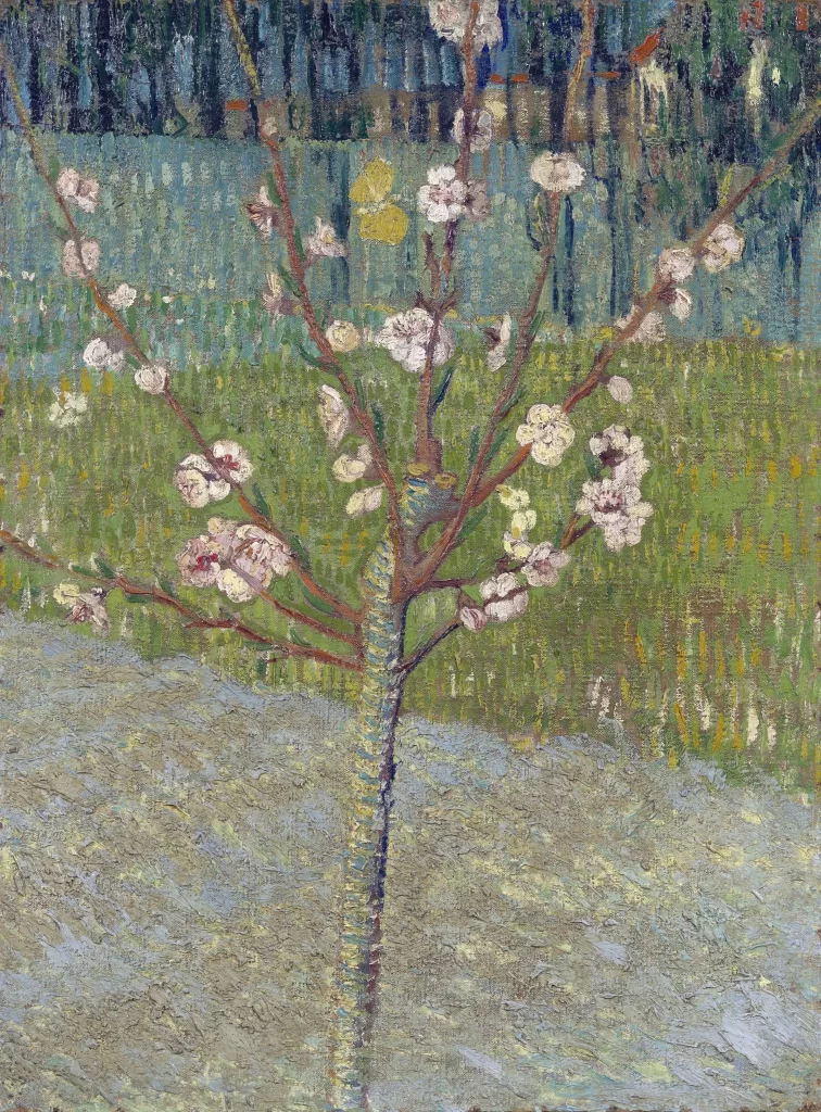 Almond Tree in Blossom Van Gogh