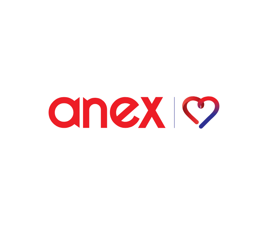 ANEX Tour Logo