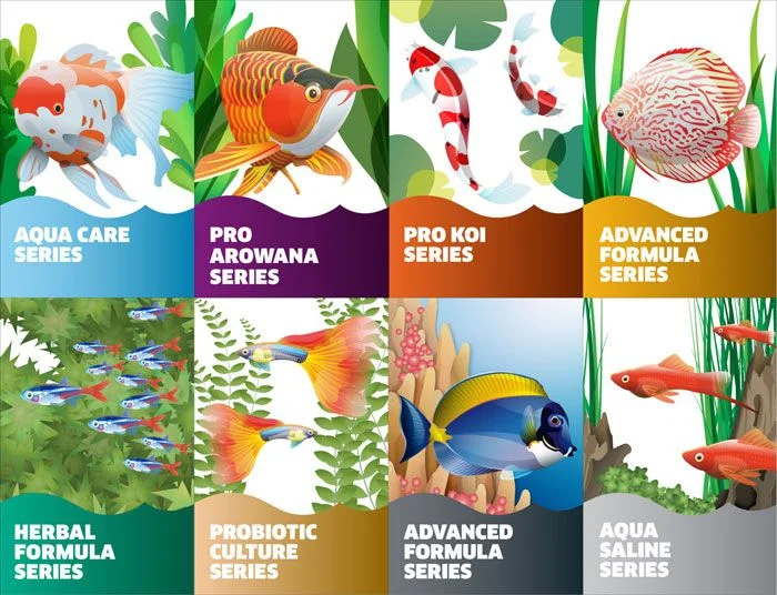 Aquatic Fish Food Series Colorful Illustration
