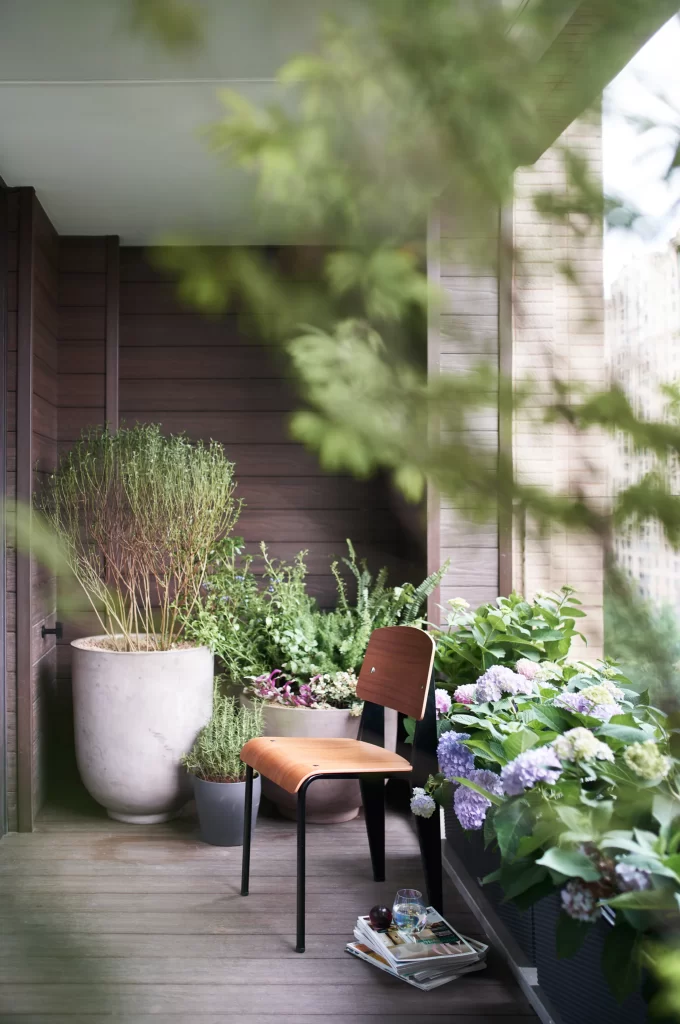 Balcony Rustic Brown Greenery Plants Natural Light