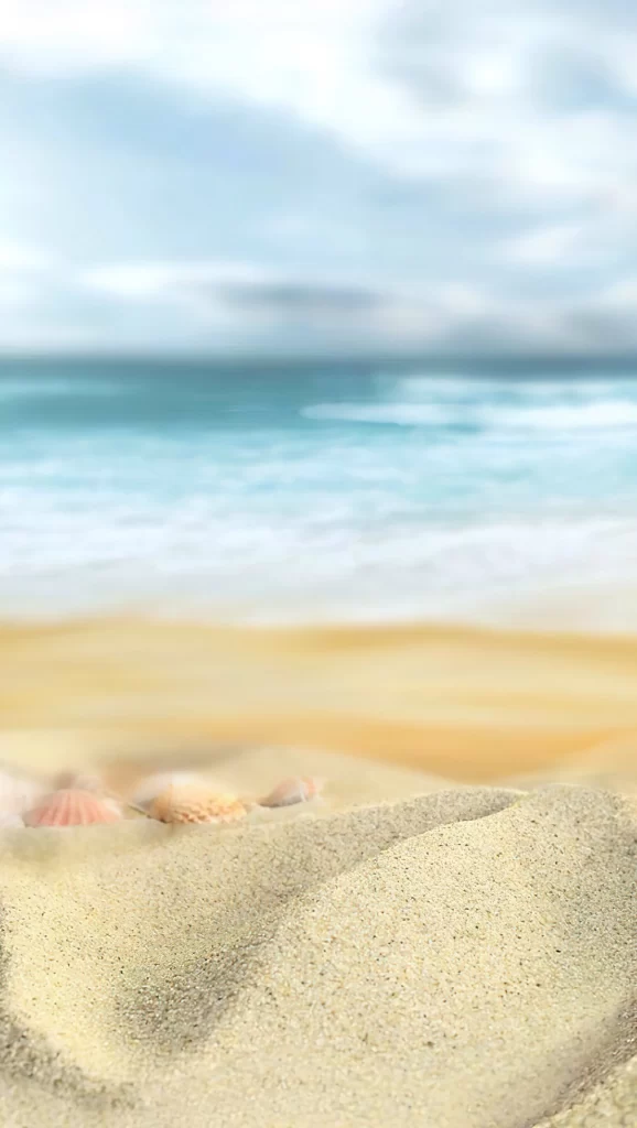 Beach Sand Seashells Ocean Horizon