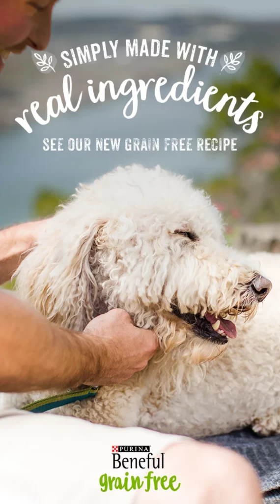 Beneful Grain Free White Green Dog Food
