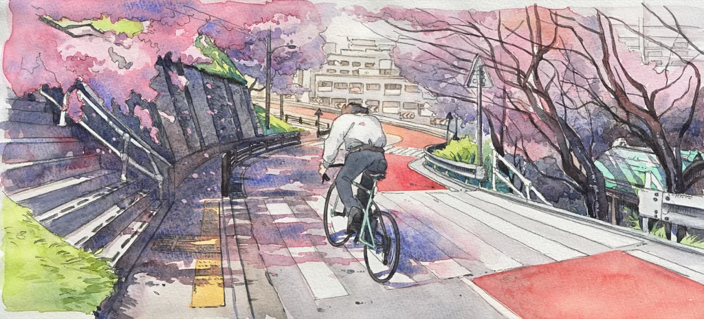 Bicycle Ride Cherry Blossoms Urban Pathway Mateusz Urbanowicz