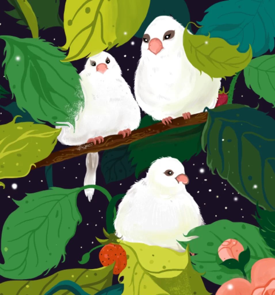 Birds Nature Branches Leaves Berries