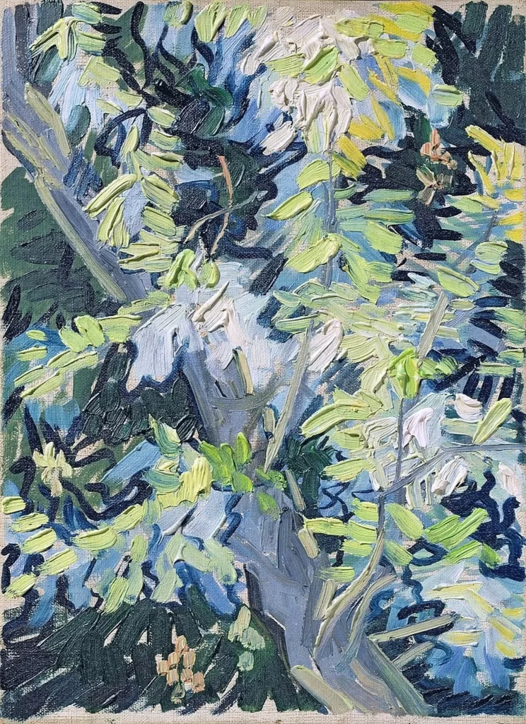 Blossoming Acacia Branches Van Gogh