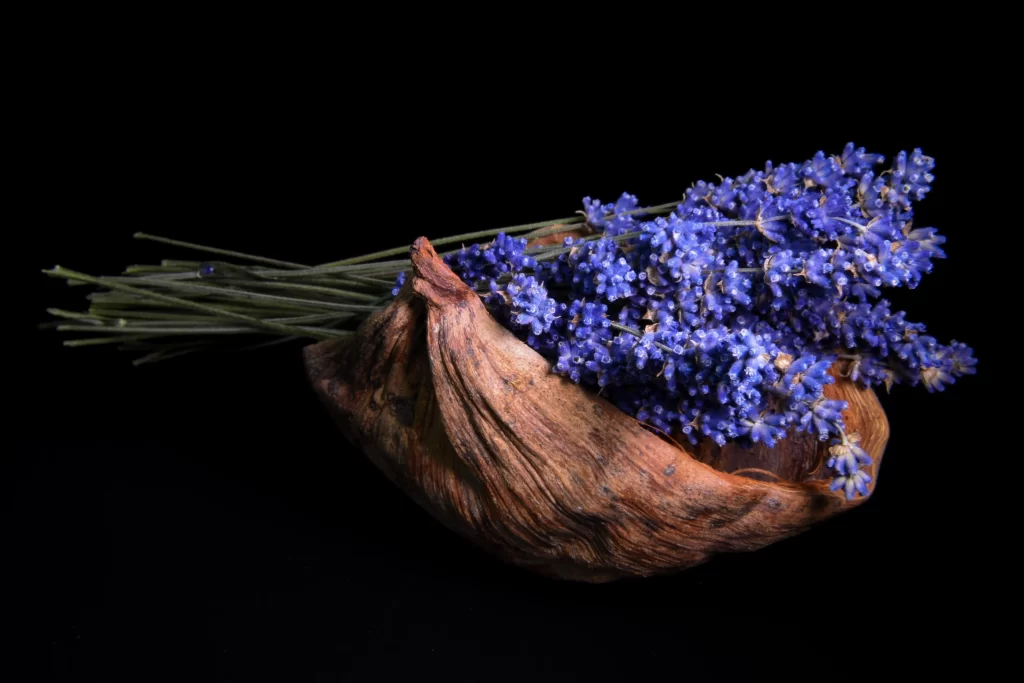 Blue Lavender Blooms Petals Shell Texture