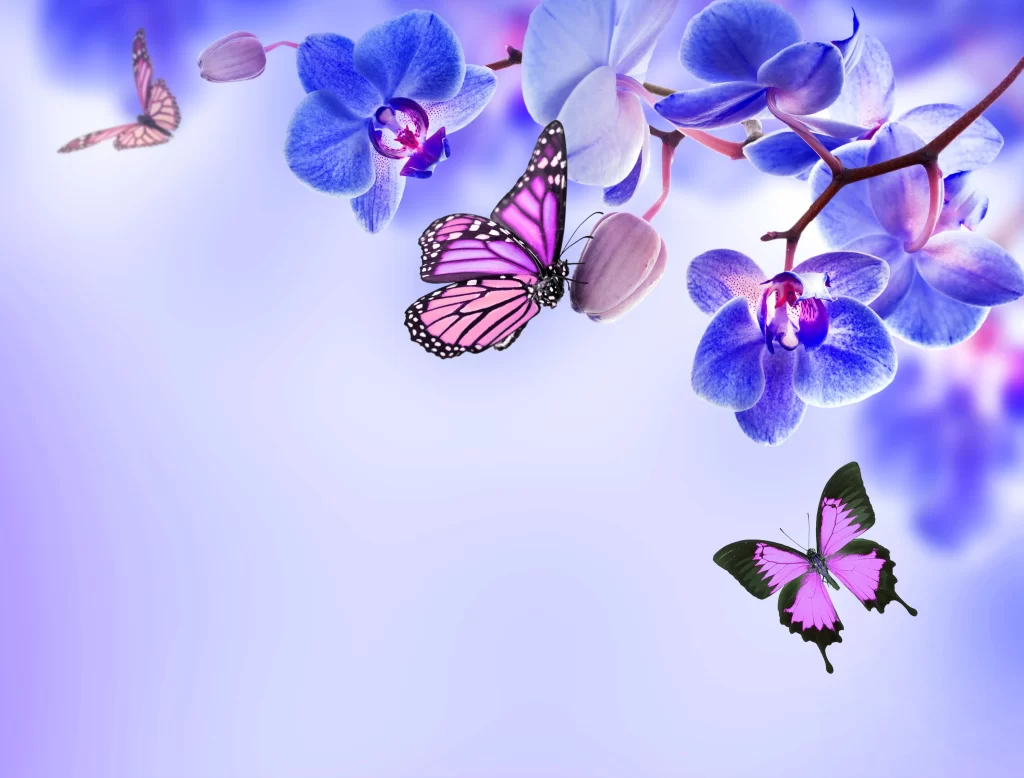 Blue Orchid Petals Blooming Butterflies