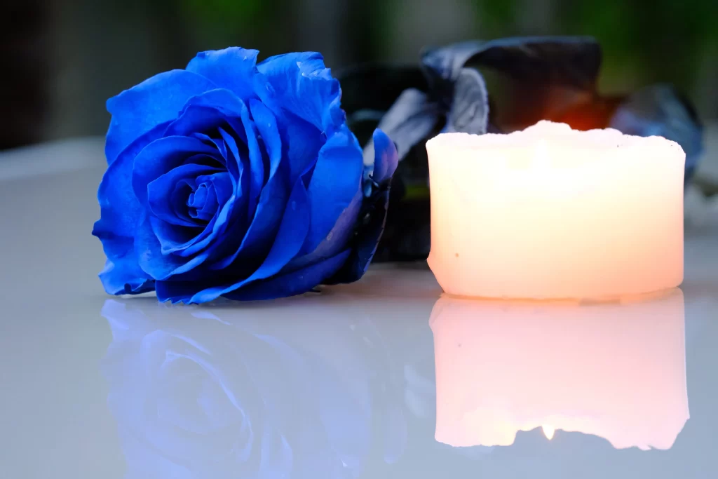 Blue Rose Candle Light Reflection