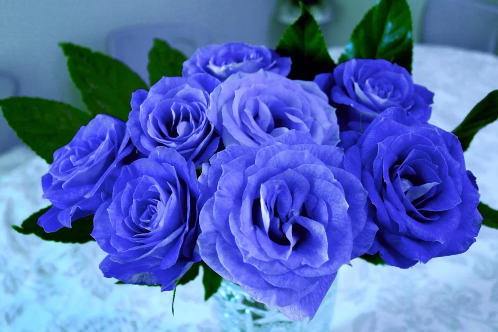 Blue Rose Violet Petal Green Leaf Vase