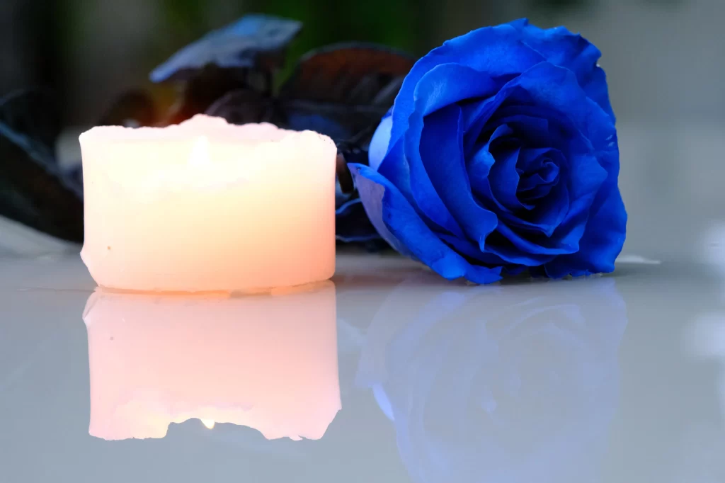 Blue Rose White Candle Reflection