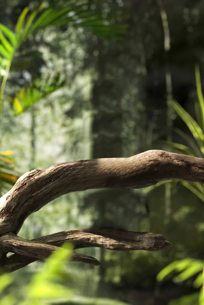 Branch Nature Wood Texture Greenery