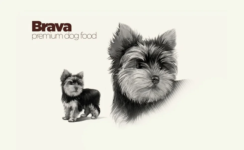 Brava Dog Food Premium