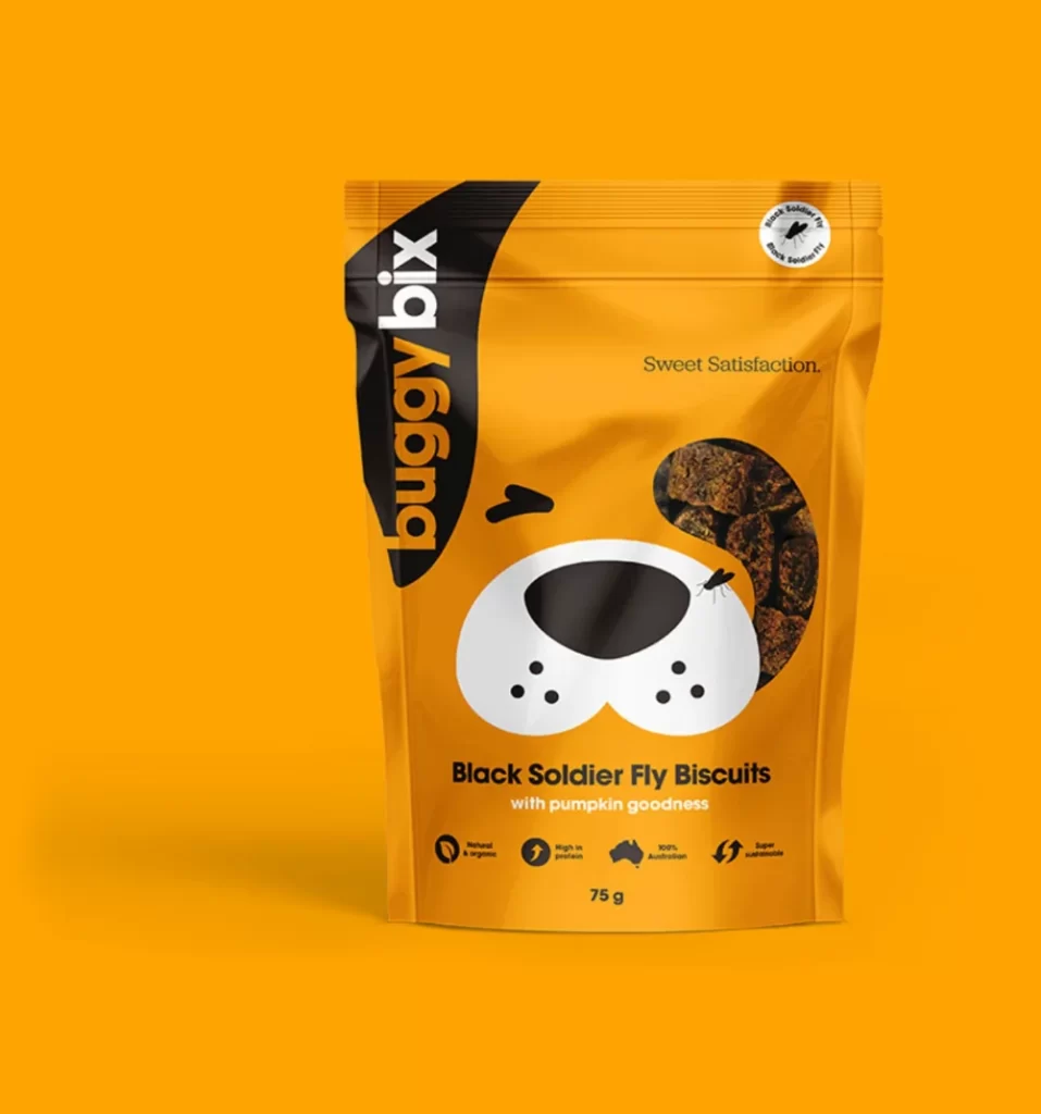 Buggy Bix Dog Treats Pumpkin Black Soldier Fly Biscuits Orange Illustration