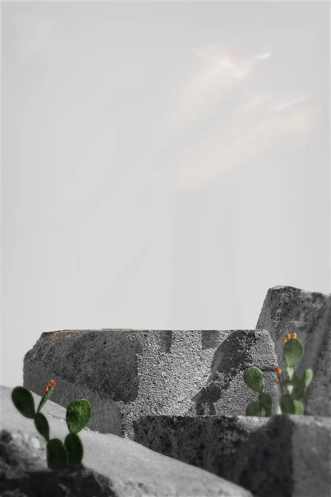 Cactus Stone Sky Texture