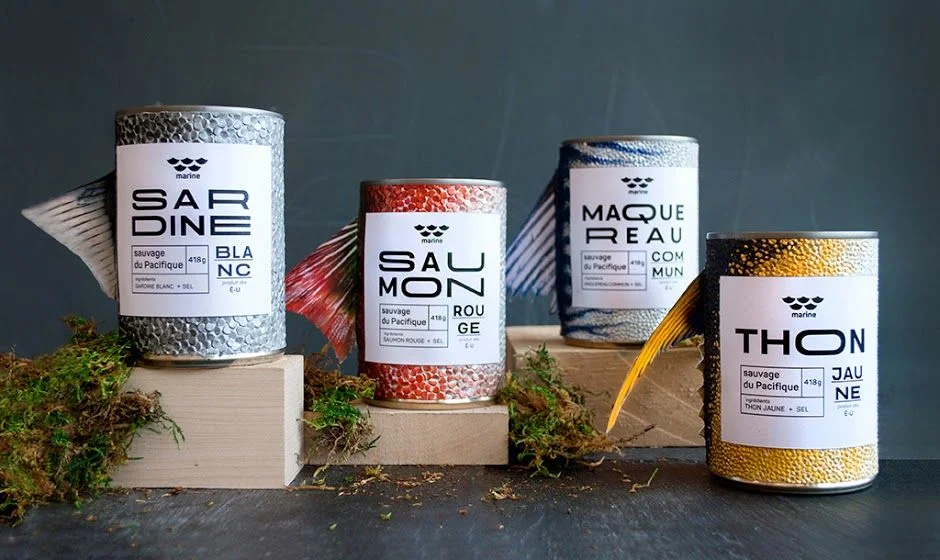 Canned Fish Salmon Sardines Tuna Marine