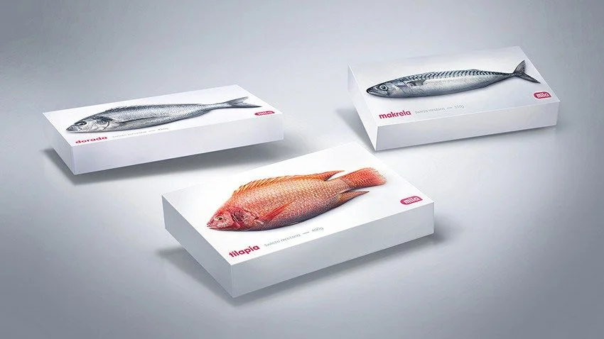 Canned Fish Tilapia Mackerel Dorada