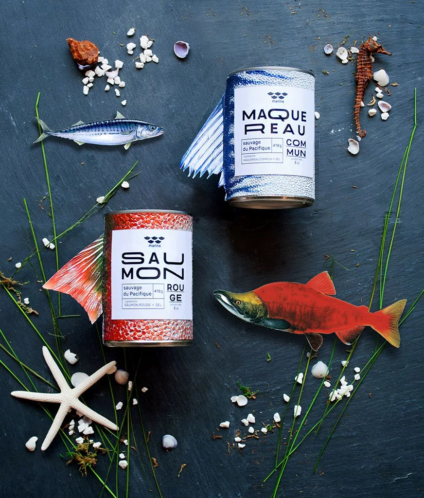 Canned Salmon Mackerel Fish Seafood gray Marine