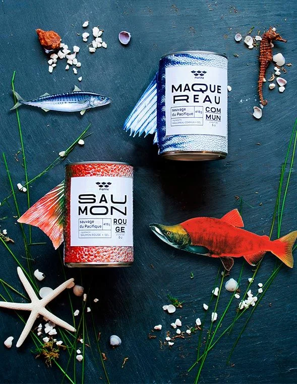 Canned Salmon Mackerel Fish Seafood gray Marine