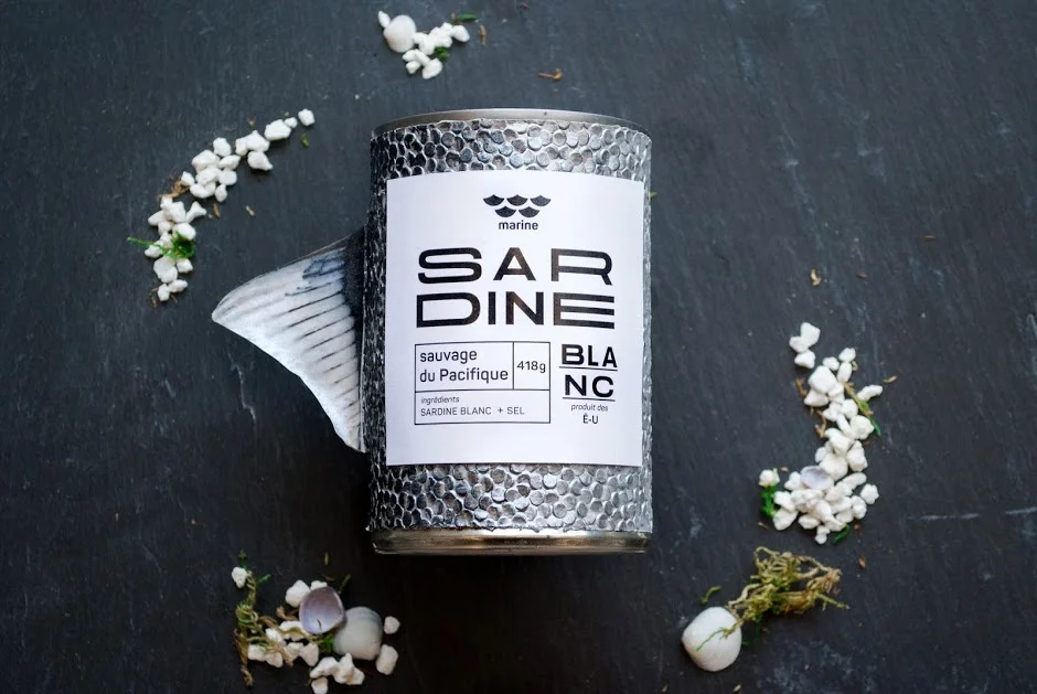 Canned Sardines Minimalist Modern White