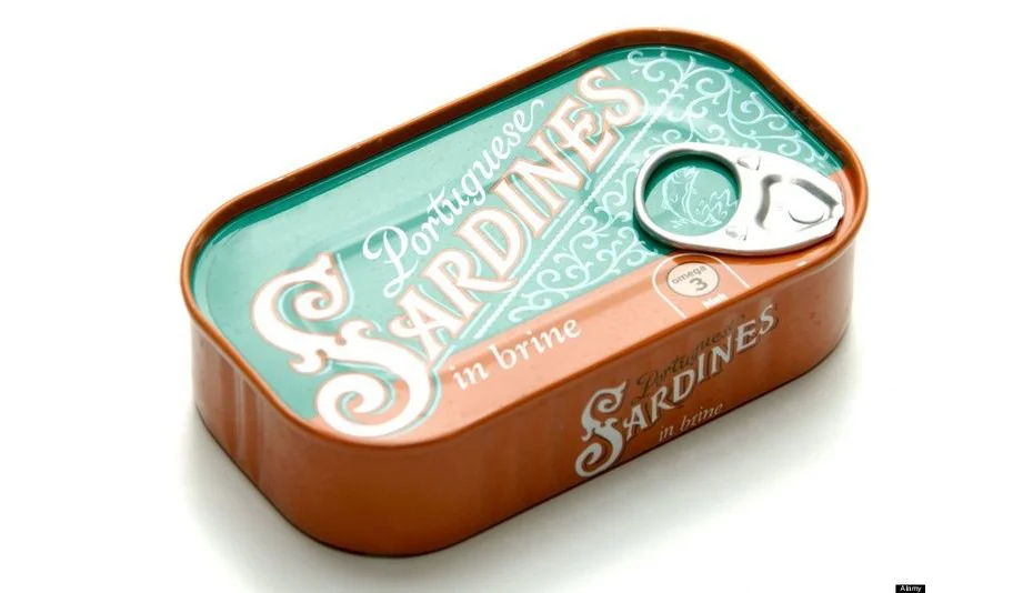 Canned Sardines Retro Vintage Green Illustration