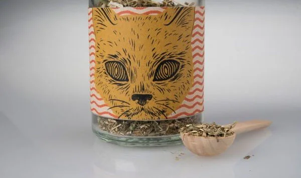 Cat Food Catnip Yellow Illustration