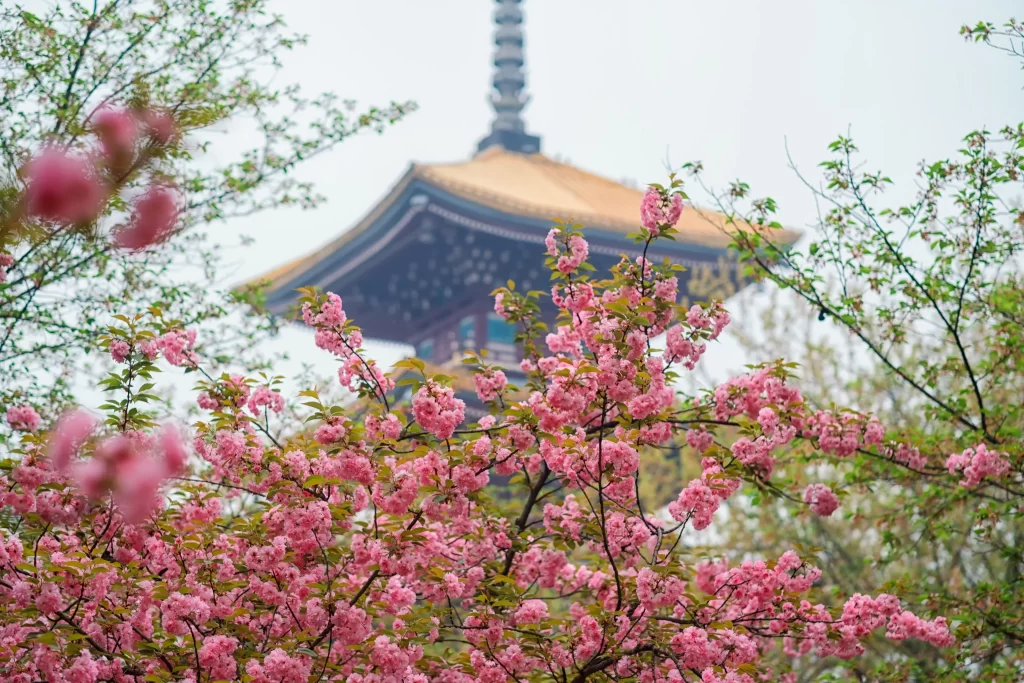 Cherry Blossom Pink Green Yellow Tower