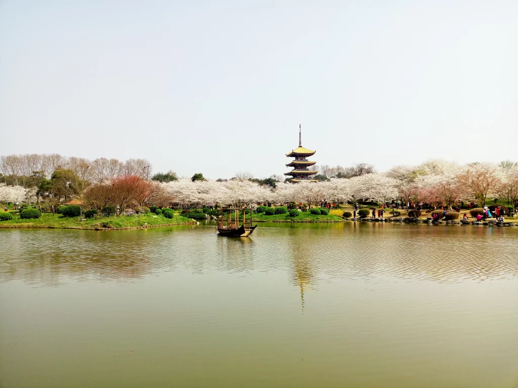 Cherry Blossom Pink White Green Lake Tower