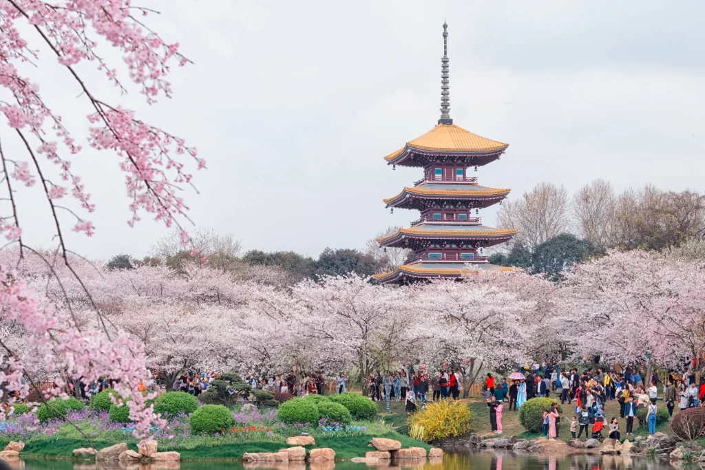 Cherry Blossom Pink White Green Yellow Tower